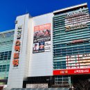 현대자동차 화장점 | 2026 설날 이마트 장난감 할인행사 직접 다녀온 후기