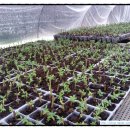 세윤농장 이미지