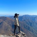 1188 | [경남 밀양] 운문산(1,188m) 등산 후기 : 운문산 최단코스, 상양마을코스