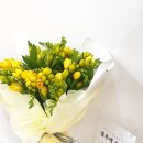 블루메플레르