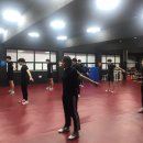 맥스체대입시학원 이미지