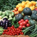 우리건강식품 이미지