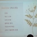 오감플러스