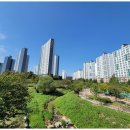 더스타공인중개사사무소 이미지