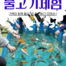 월드피시 이미지