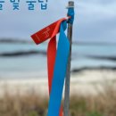 무릉외갓집영농조합법인 이미지