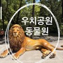 [ 광주 ]광주아이랑갈만한곳 찾는다면? 우치공원 동물원 후기🦒🐘 ( 입장료무료 )