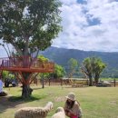 무의목장 이미지