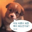 저도 크면 "욕"이 되나여 ? ㅠㅠ 이미지