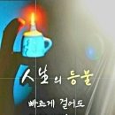 국내여행ㅡ 지역별 코스 총망라 ㅡ 설악산국립공원ㅡ 동해: 무릉계곡 ㅡ 평창: 이효석문화마을 ㅡ 인제: 방태산자연휴양림 ㅡ 이미지