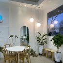 오 샐리 이미지