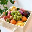 온기청과 이미지