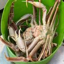 매천로 | 대구 매천시장 대방어 대게 시세 내돈내산