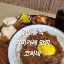 용인 동백 키마카레 맛집 코하네