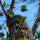 웜벳동물병원 이미지