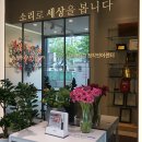 국제보청기 이미지