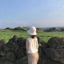 [국내여행/제주도여행] 제주도 여행코스 추천, 월정리, 월정리해수욕장