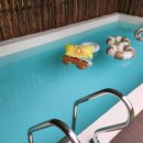 스테이 신사리 이미지