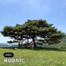 두마지기 | 강원도 평창 가볼만한 곳 육십마지기 트레킹 가는법