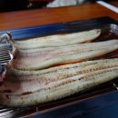 암사민물장어 이미지