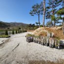 황토밥상 이미지