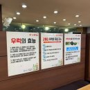 성남 경로당 | 분당 야탑 내돈내산 찐맛집 강릉집 후기