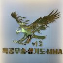 최강 합기도 안산도장 | 초지동 비조 카운터짐 MMA 합기도 특공무술 유아, 초등학생 필수 운동 학원 1일 체험 다녀 온 후기