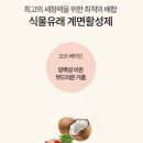 맘뜨레 네이버블로그