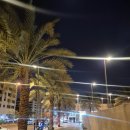 CHAT CHAT COFFEE | [260129] Masmak Palace | 'Sabouh Najd' | 'Haila Coffee'