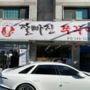 잘빠진쭈꾸미 이미지