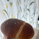 솔트앤스낵다산