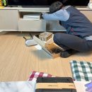 (주)케이티스카이라이프 | [아정당] 화성동탄 KT스카이라이프 인터넷가입사은품...결합상품 기가지니 설치 혜택 사은품 현금지급 후기