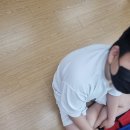 온양초등학교 네이버블로그