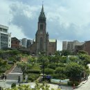 집성당 | [내돈내산] 명동성당 정통 인도커리집 &#39;타지&#39; 명동성당뷰 창가석 예약 및 식사후기