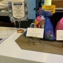 더 하운드 호텔 | 부산역 더하운드 호텔 후기