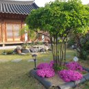 솔도민박 이미지