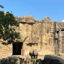 식물원 옆 동물원 | 시카고 도심 속 힐링스팟 링컨파크 동물원 Licoln Park Zoo 후기 (무료 여행지 추천, 컨서버토리 식물원)