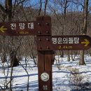 왕산골숲속 이미지