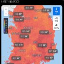 펜타포트약국 이미지