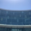 냥냥펀치 이미지