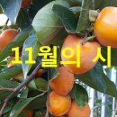 가을의 기도시 모음 이미지