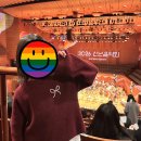 2019 신년음악회 | 2026 신년음악회 관람 후기 예술의전당 콘서트홀 2층 8열 시야