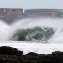 하예동-14 이미지