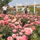 임실치즈테마파크1 이미지