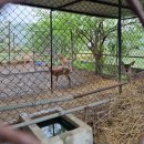 광덕목장 이미지