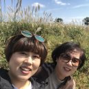 뚱보식당 - 강남구 | 뚱보식당