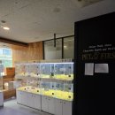 펫퍼스트 24시 강아지분양 고양이분양 이미지