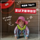 방아머리 구선착장 | 인천 무의도 갯벌체험 조개캐기 하나개해수욕장 포내어촌체험마을 (주차/파라솔대여/물때정보/갯벌체험...