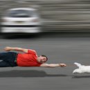 NO.1 피트니스 이미지