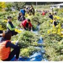 의성꽃화원 이미지